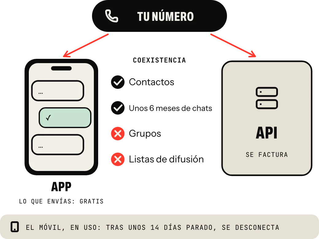 Coexistencia: tu mismo número en la app WhatsApp Business, donde lo que envías sigue siendo gratis, y en la API, que se factura; pasan los contactos y unos seis meses de chats individuales, no los grupos, la app pierde las listas de difusión y el móvil tiene que usarse al menos cada unos 14 días