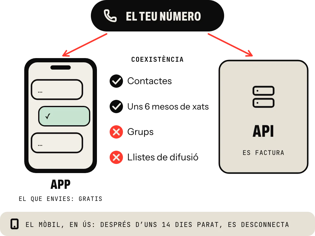 Coexistència: el teu mateix número en l’app WhatsApp Business, on el que envies continua sent gratis, i en l’API, que es factura; es traslladen els contactes i uns sis mesos de xats individuals, no els grups, l’app perd les llistes de difusió i el mòbil s’ha de fer servir almenys cada uns 14 dies